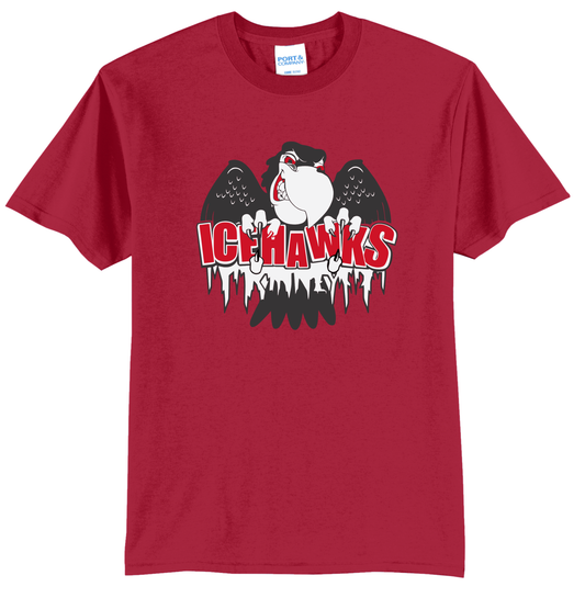 Ice Hawks Hockey Tee PC55
